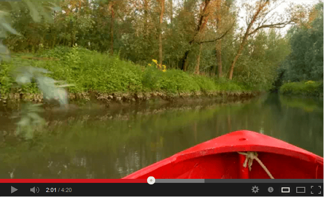 de biesbosch